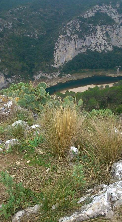 Entre Uzes Et Le Pont Du Gard Le Cocon De Sophia A Deux Pas Des Gorges Du Gardon Daire Collias Dış mekan fotoğraf